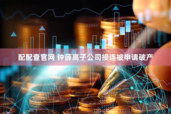 配配查官网 钟薛高子公司接连被申请破产