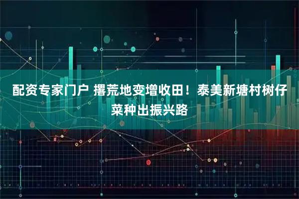 配资专家门户 撂荒地变增收田！泰美新塘村树仔菜种出振兴路