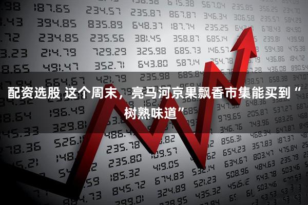 配资选股 这个周末，亮马河京果飘香市集能买到“树熟味道”